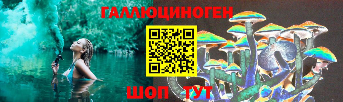 Галлюциногенные грибы Psilocybine cubensis Лобня